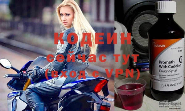дживик Заводоуковск
