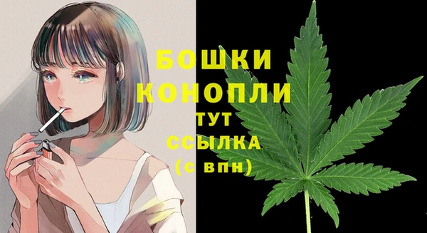 метадон Заволжье