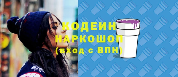 дживик Заводоуковск
