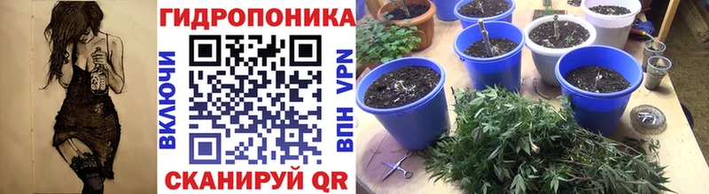 Конопля White Widow  Циолковский 